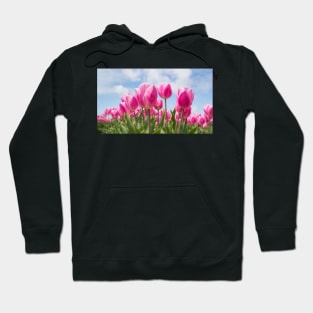 Fields Of Roses Hoodie